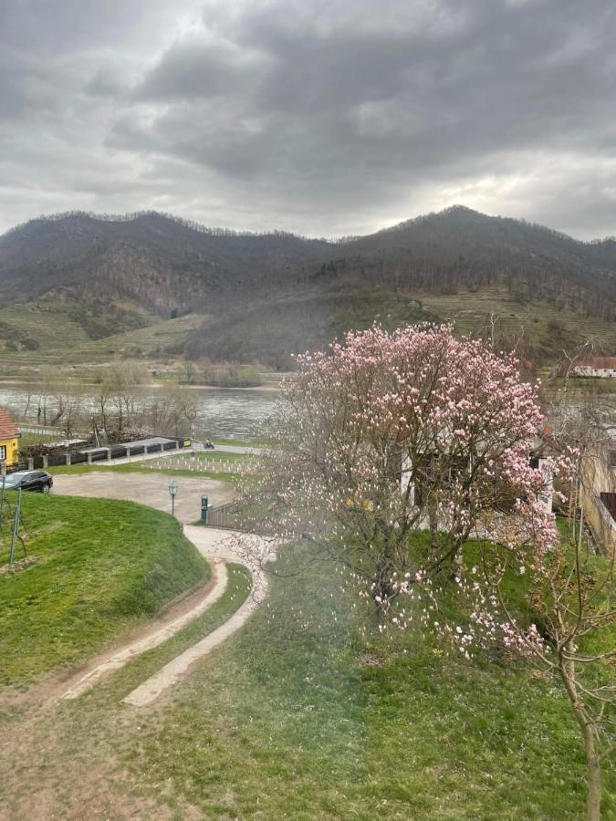 Top Ferienhaus Bei Spitz / Wachau Schwallenbach ภายนอก รูปภาพ